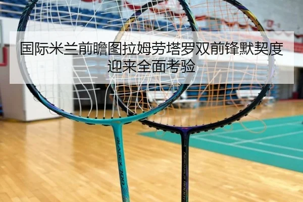 国际米兰前瞻图拉姆劳塔罗双前锋默契度迎来全面考验 - 新闻资讯相关报道缩略图